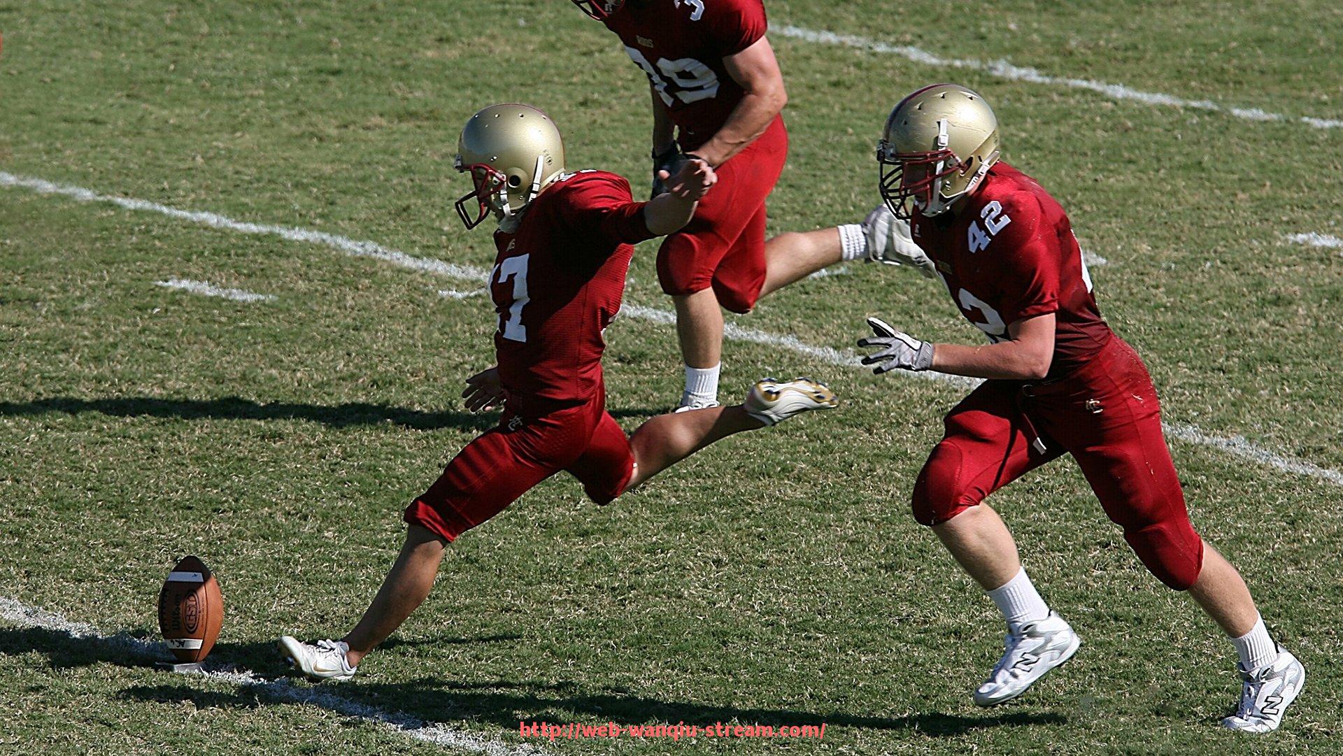 玩球直播-濮阳康乐佳健身器材销售情况及品牌本地影响力