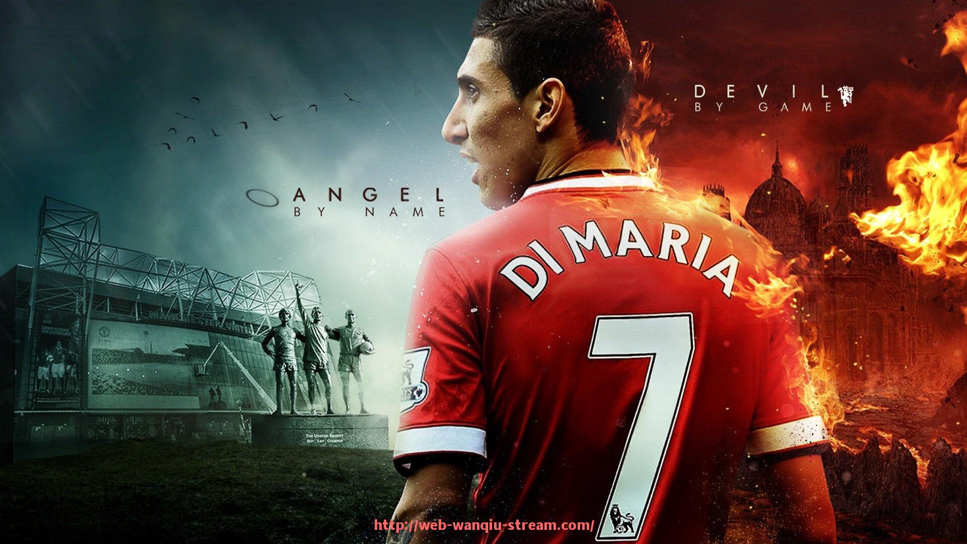 玩球直播-舒华健身器材的产品图片及选择指南